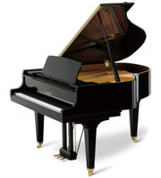 Imagem por categoria Pianos de Cauda