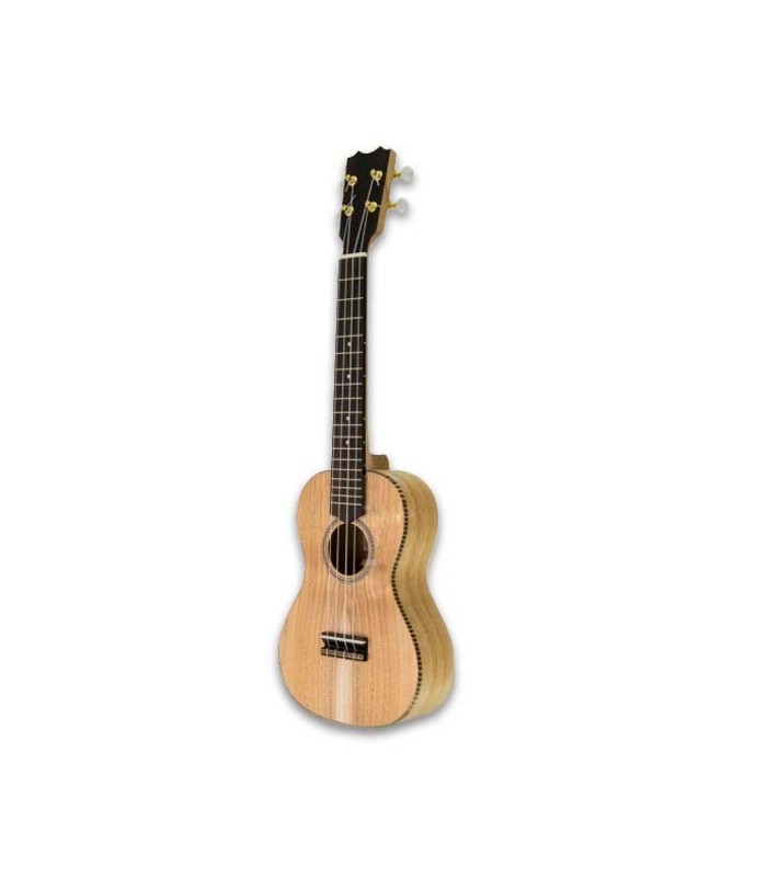 Imagem de Ukulele Concerto APC CT