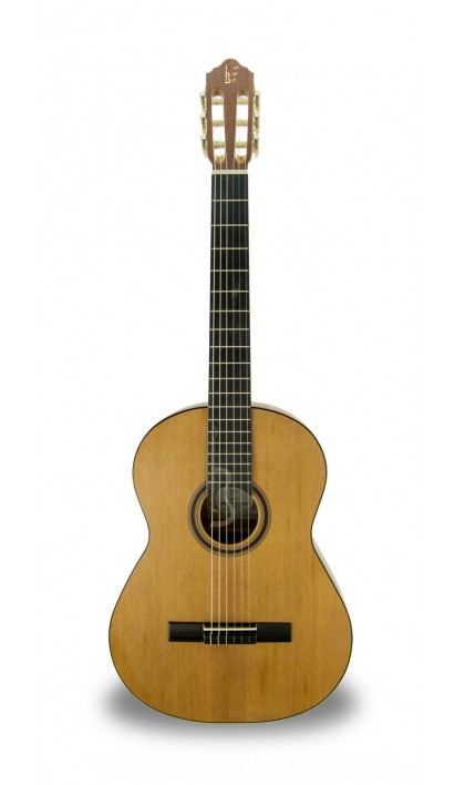 Imagem de Guitarra Clássica APC 1C