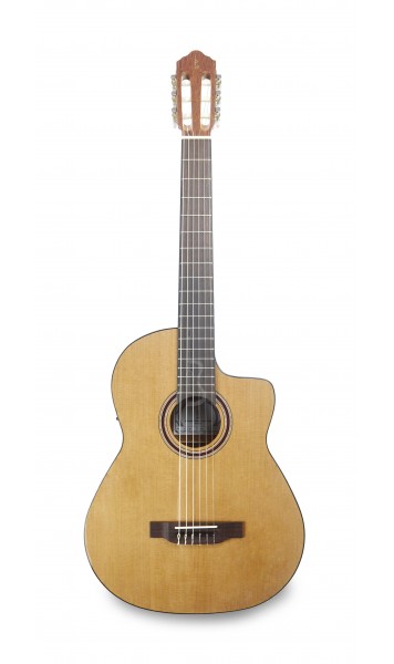 Imagem de Guitarra Clássica APC 1CCW