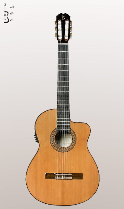 Imagem de Guitarra Clássica APC 5CCW